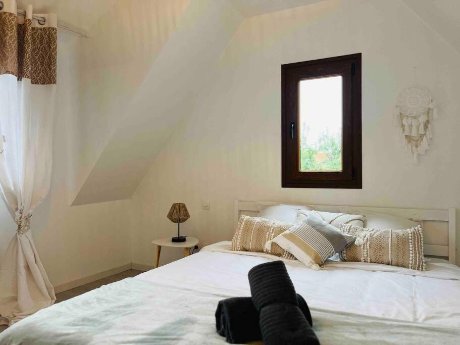 S'Hiesele Petite Maison Alsacienne Typique Ittenheim Exterior foto